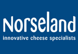 Norseland logo
